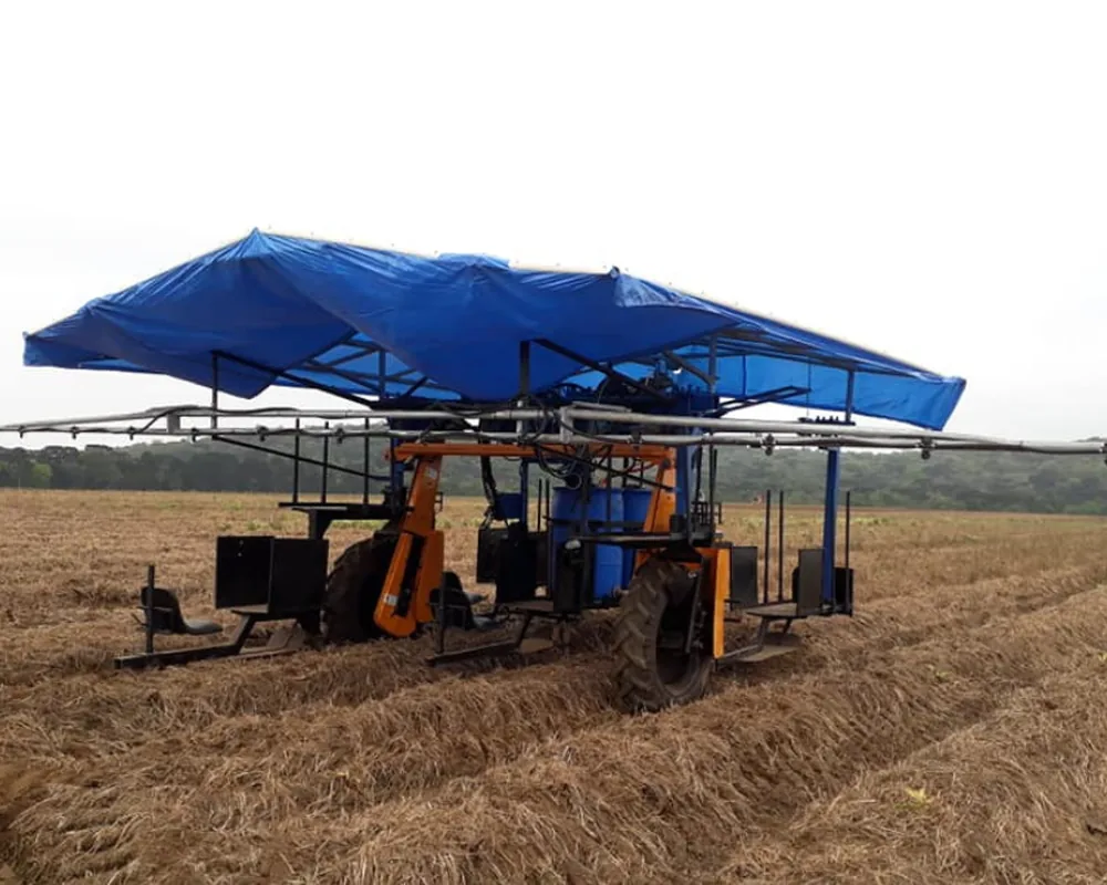 Colheitadeira em área de cultivo