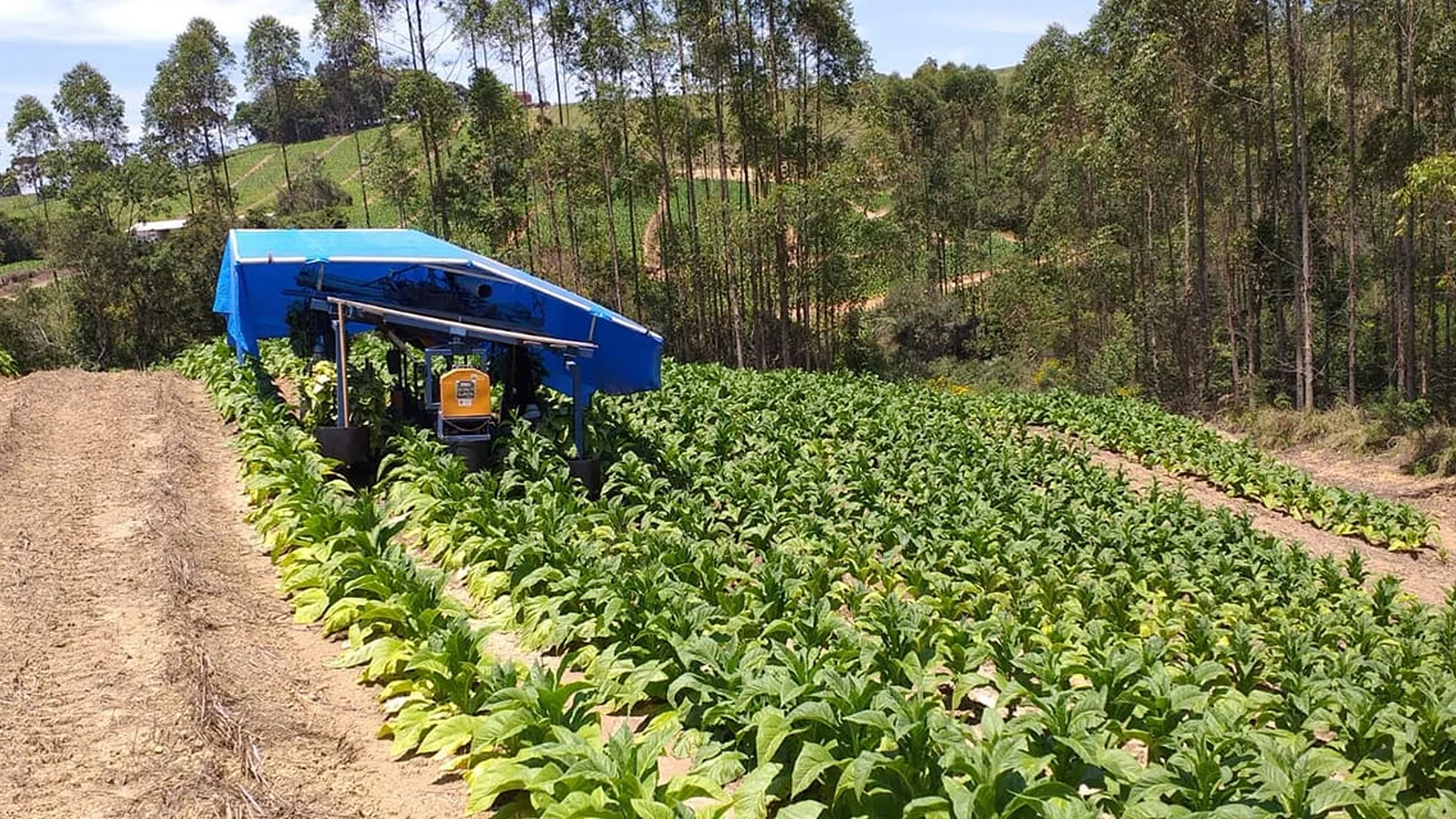 Colheitadeira MATIRDE trabalhando na lavoura